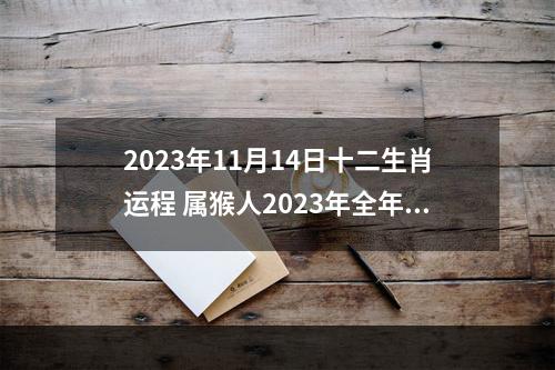 2023年11月14日十二生肖运程 属猴人2023年全年运势运程