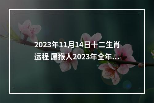 2023年11月14日十二生肖运程 属猴人2023年全年运势运程