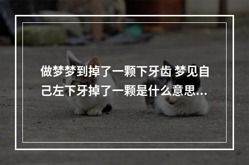 做梦梦到掉了一颗下牙齿 梦见自己左下牙掉了一颗是什么意思?