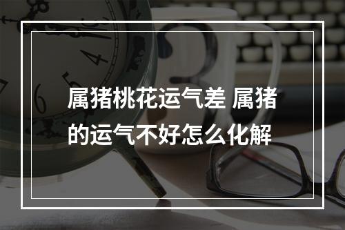 属猪桃花运气差 属猪的运气不好怎么化解