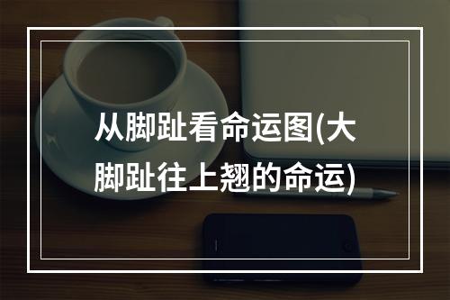 从脚趾看命运图(大脚趾往上翘的命运)