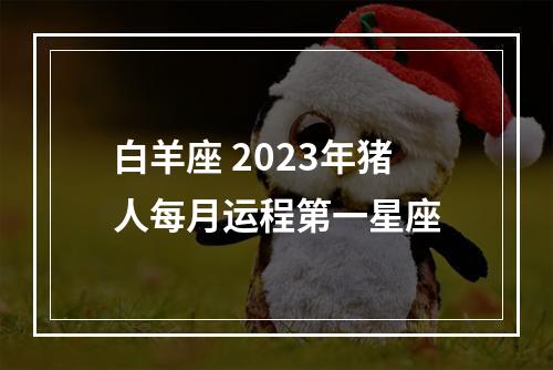 白羊座 2023年猪人每月运程第一星座