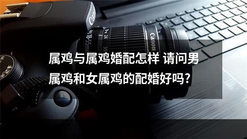 属鸡与属鸡婚配怎样 请问男属鸡和女属鸡的配婚好吗?