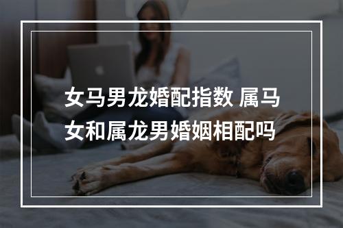 女马男龙婚配指数 属马女和属龙男婚姻相配吗