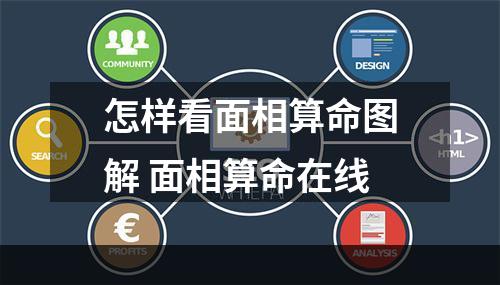 怎样看面相算命图解 面相算命在线