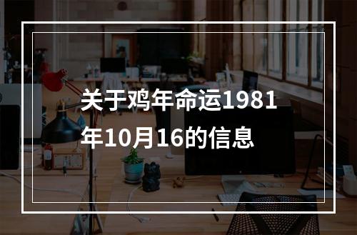 关于鸡年命运1981年10月16的信息