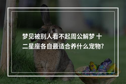 梦见被别人看不起周公解梦 十二星座各自最适合养什么宠物?