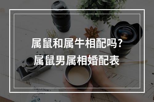 属鼠和属牛相配吗? 属鼠男属相婚配表