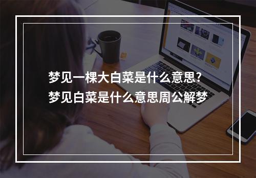 梦见一棵大白菜是什么意思? 梦见白菜是什么意思周公解梦
