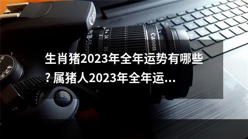 生肖猪2023年全年运势有哪些? 属猪人2023年全年运势详解1973