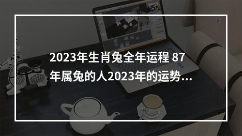 2023年生肖兔全年运程 87年属兔的人2023年的运势女
