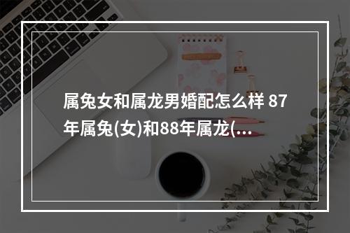 属兔女和属龙男婚配怎么样 87年属兔(女)和88年属龙(男)相配吗