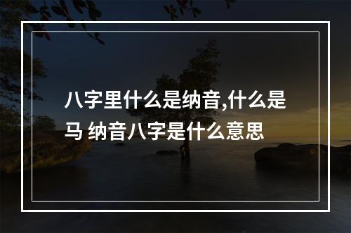 八字里什么是纳音,什么是马 纳音八字是什么意思