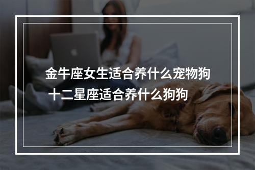 金牛座女生适合养什么宠物狗 十二星座适合养什么狗狗