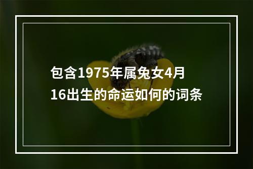 包含1975年属兔女4月16出生的命运如何的词条