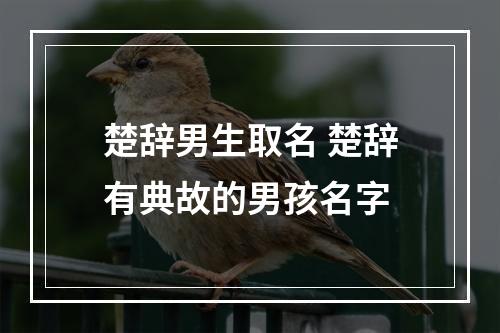 楚辞男生取名 楚辞有典故的男孩名字