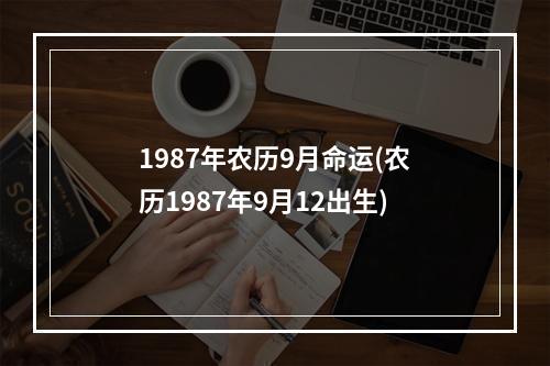 1987年农历9月命运(农历1987年9月12出生)
