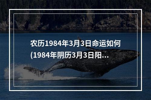 农历1984年3月3日命运如何(1984年阴历3月3日阳历是多少)