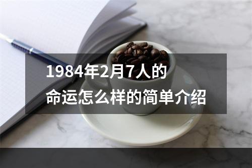 1984年2月7人的命运怎么样的简单介绍