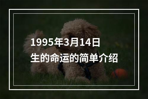 1995年3月14日生的命运的简单介绍