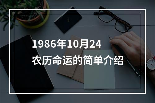 1986年10月24农历命运的简单介绍