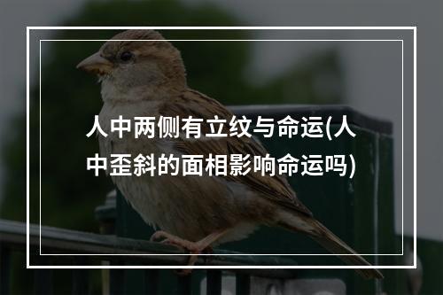 人中两侧有立纹与命运(人中歪斜的面相影响命运吗)