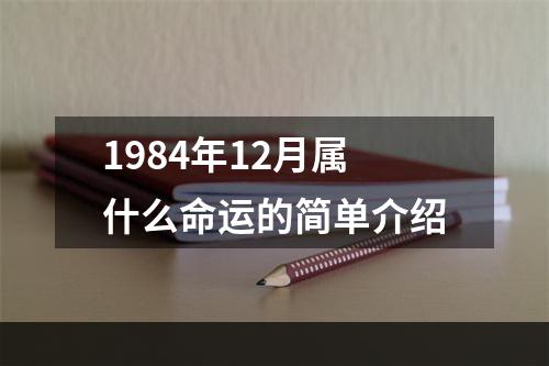 1984年12月属什么命运的简单介绍