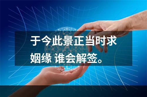 于今此景正当时求姻缘 谁会解签。