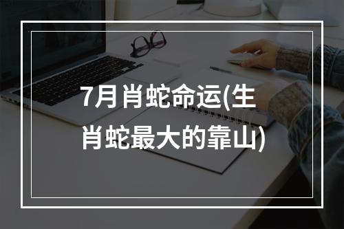 7月肖蛇命运(生肖蛇最大的靠山)