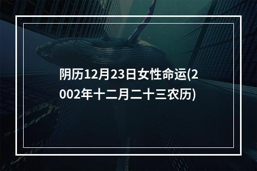 阴历12月23日女性命运(2002年十二月二十三农历)