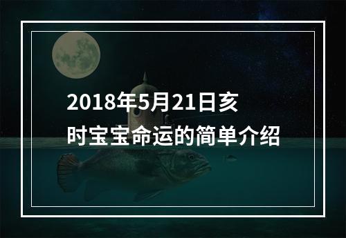 2018年5月21日亥时宝宝命运的简单介绍