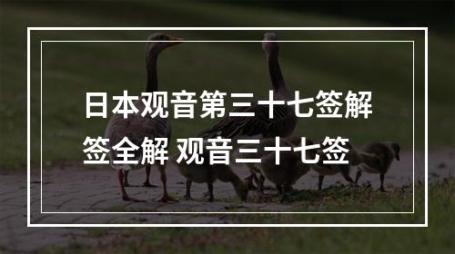 日本观音第三十七签解签全解 观音三十七签