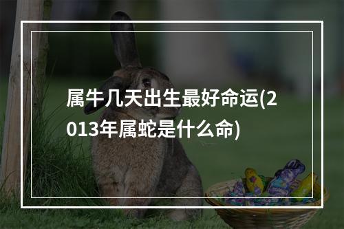 属牛几天出生最好命运(2013年属蛇是什么命)