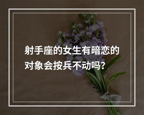 射手座的女生有暗恋的对象会按兵不动吗？