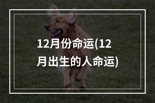 12月份命运(12月出生的人命运)