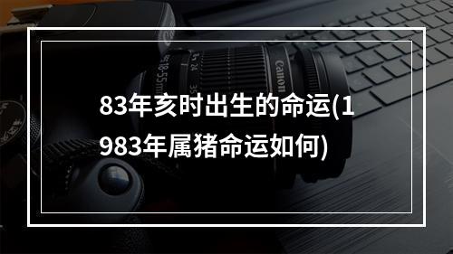 83年亥时出生的命运(1983年属猪命运如何)