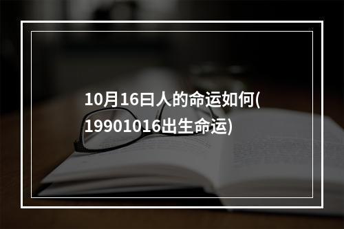 10月16曰人的命运如何(19901016出生命运)