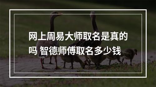 网上周易大师取名是真的吗 智德师傅取名多少钱