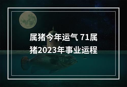 属猪今年运气 71属猪2023年事业运程