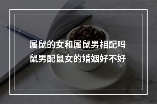 属鼠的女和属鼠男相配吗 鼠男配鼠女的婚姻好不好
