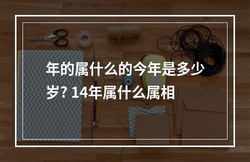 年的属什么的今年是多少岁? 14年属什么属相
