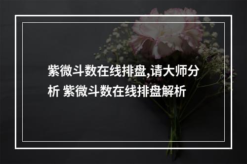 紫微斗数在线排盘,请大师分析 紫微斗数在线排盘解析