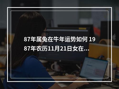 87年属兔在牛年运势如何 1987年农历11月21日女在+2023年命运如何?