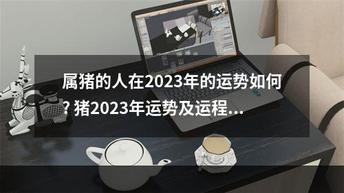 属猪的人在2023年的运势如何? 猪2023年运势及运程麦玲玲