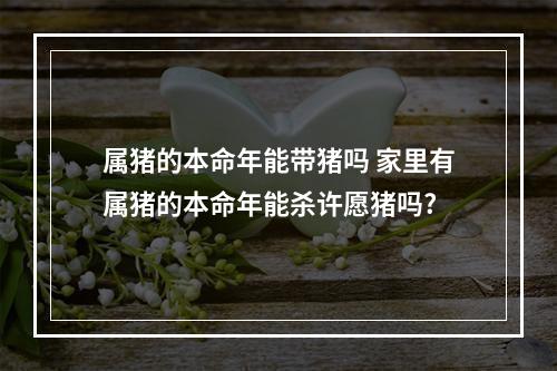 属猪的本命年能带猪吗 家里有属猪的本命年能杀许愿猪吗?