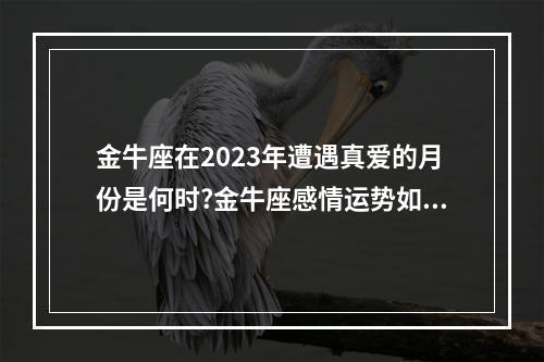 金牛座在2023年遭遇真爱的月份是何时?金牛座感情运势如何? 金牛女2023年运势如何