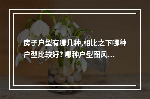 房子户型有哪几种,相比之下哪种户型比较好? 哪种户型图风水好