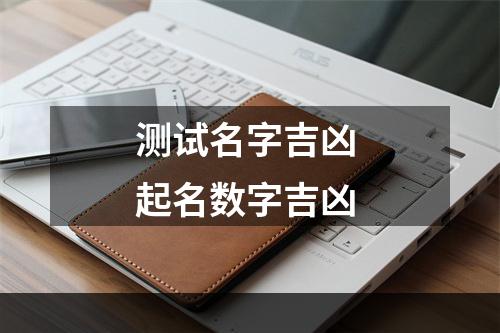 测试名字吉凶 起名数字吉凶