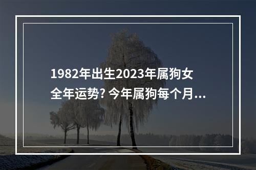 1982年出生2023年属狗女全年运势? 今年属狗每个月运程
