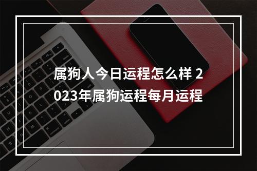 属狗人今日运程怎么样 2023年属狗运程每月运程